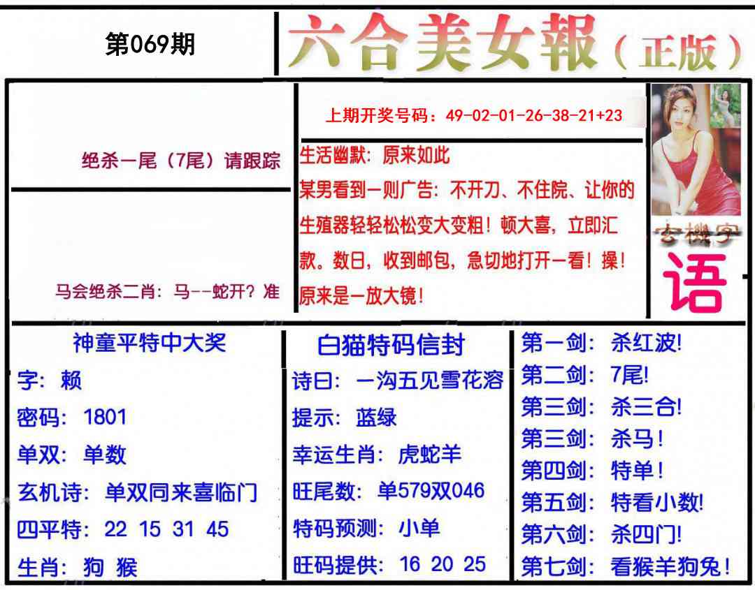 069期美女报[图]