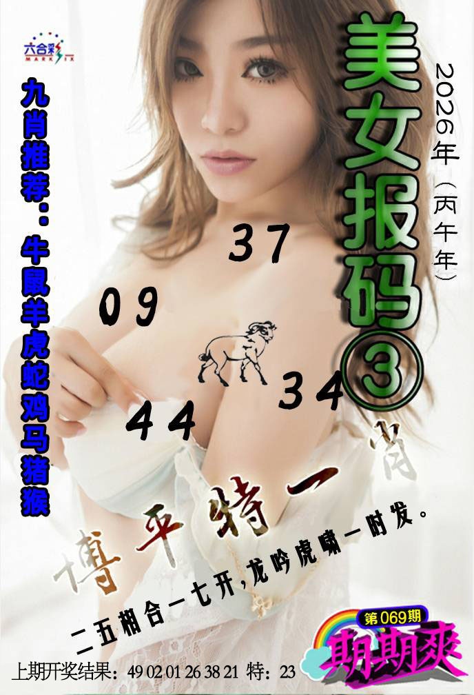 069期美女码报3[图]