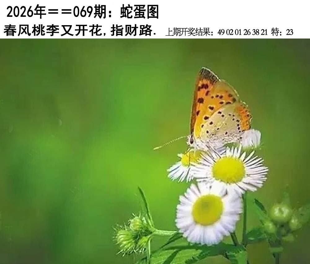 069期另版蛇蛋图[图]