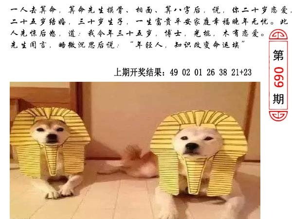 069期澳门生活幽默[图]