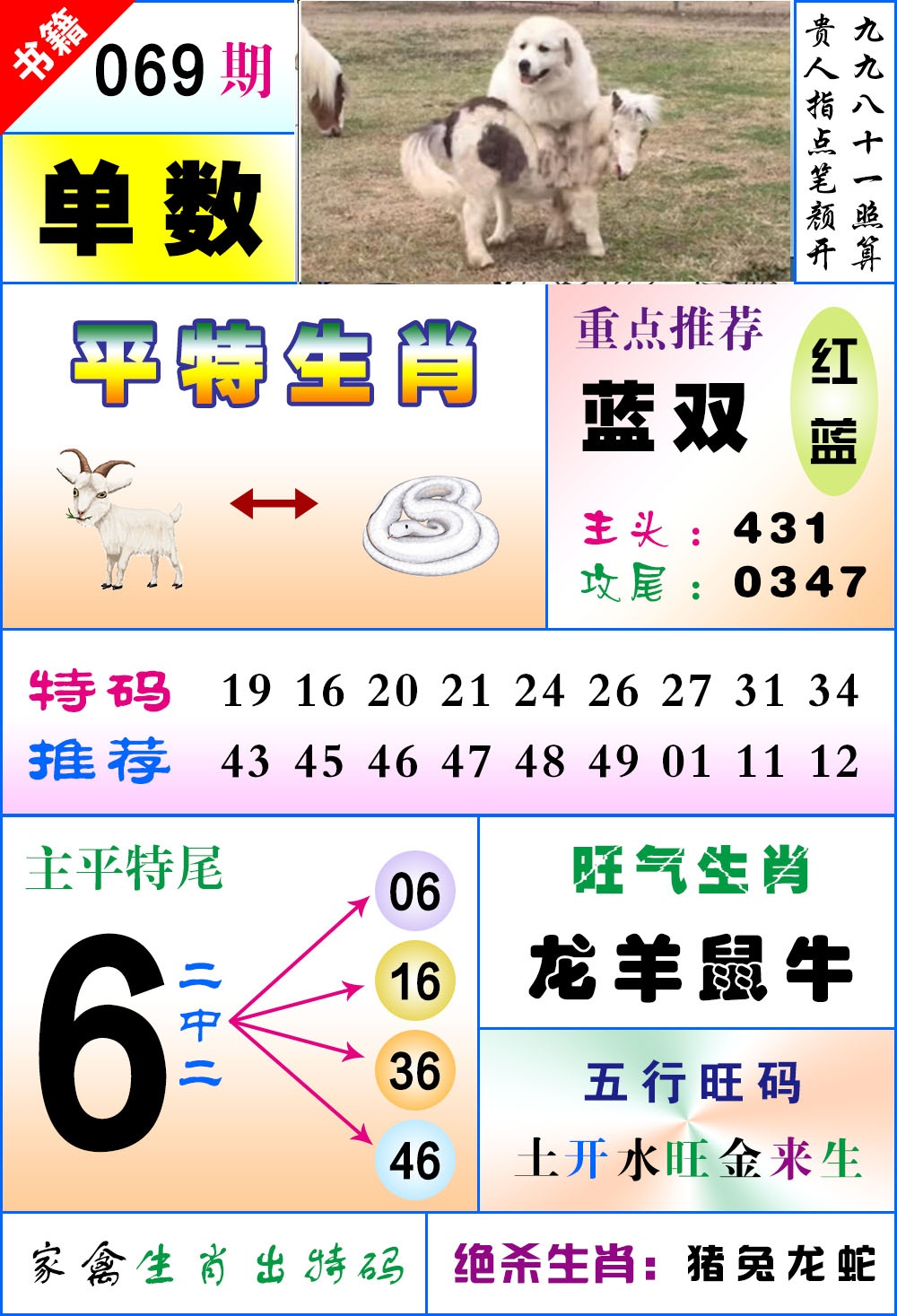 069期澳门风水平特[图]