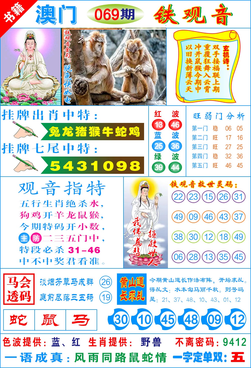 069期澳门铁观音[图]