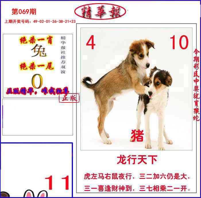 069期新精华报报[图]