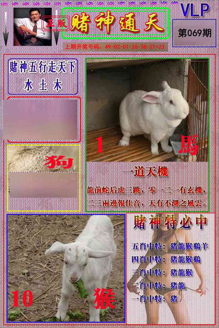 069期赌神通天报[图]