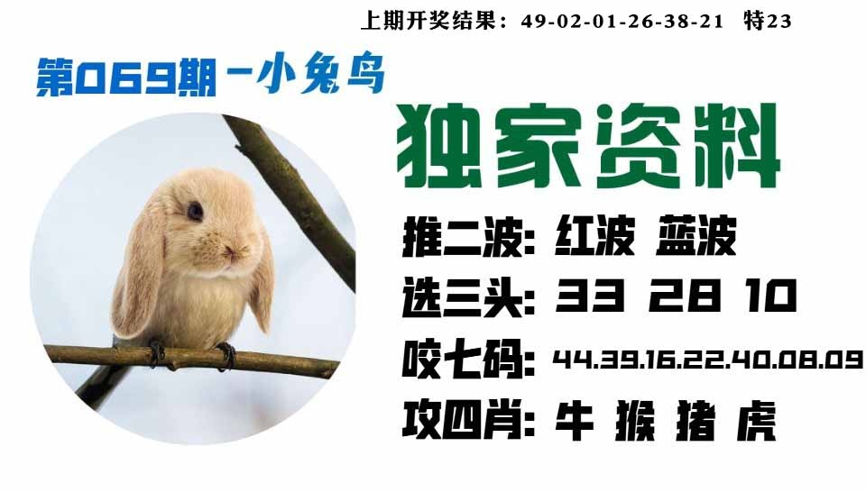 069期小兔鸟[图]