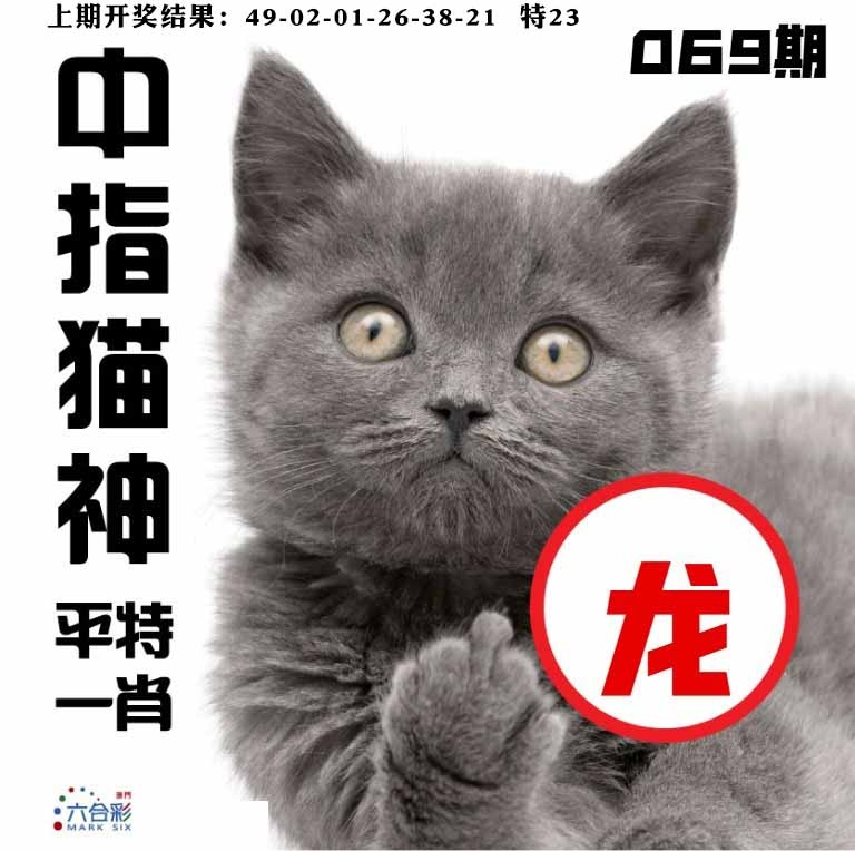 069期中指猫神[图]